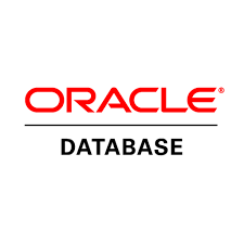 Oracle Database Logo